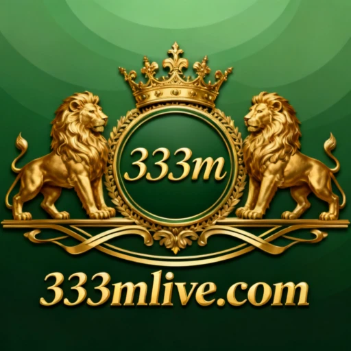 333m Logo